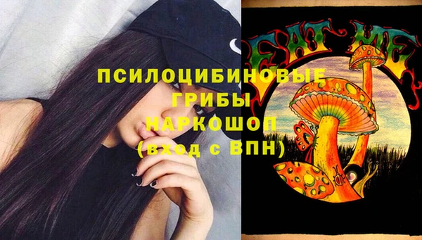 мдпв Бугульма