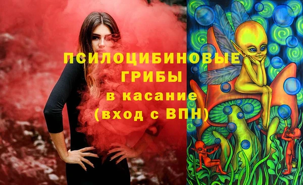 сатива Верхнеуральск