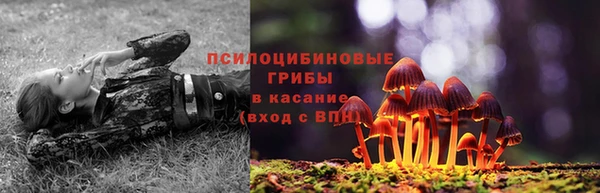 мет Бородино