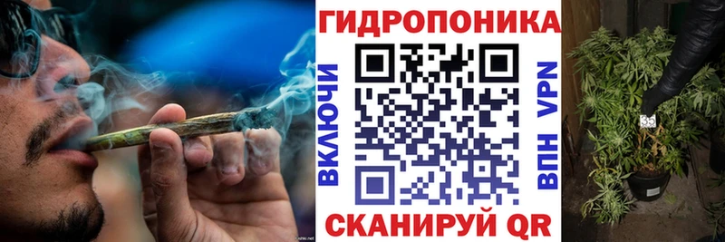 хочу   Архангельск  Бошки марихуана индика 